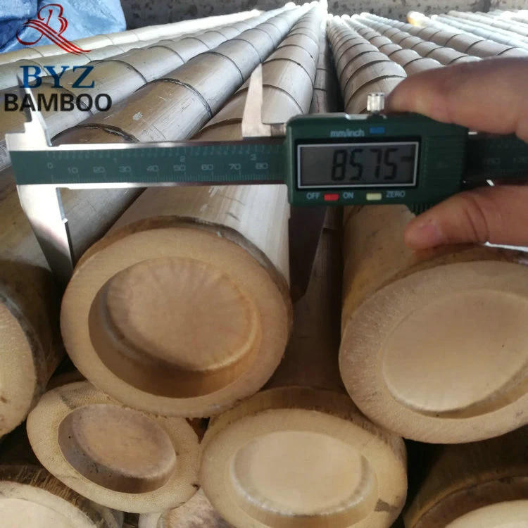 Moso Bamboo Cane for Decoration and Construction